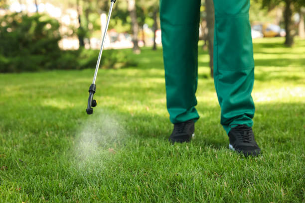 Best Pest Prevention Services  in Arcola, TX