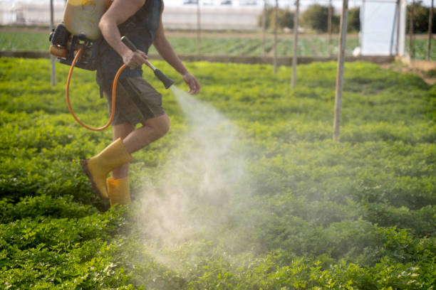Best Exterminator Services  in Arcola, TX