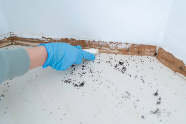 Best Best Pest Control Companies  in Arcola, TX